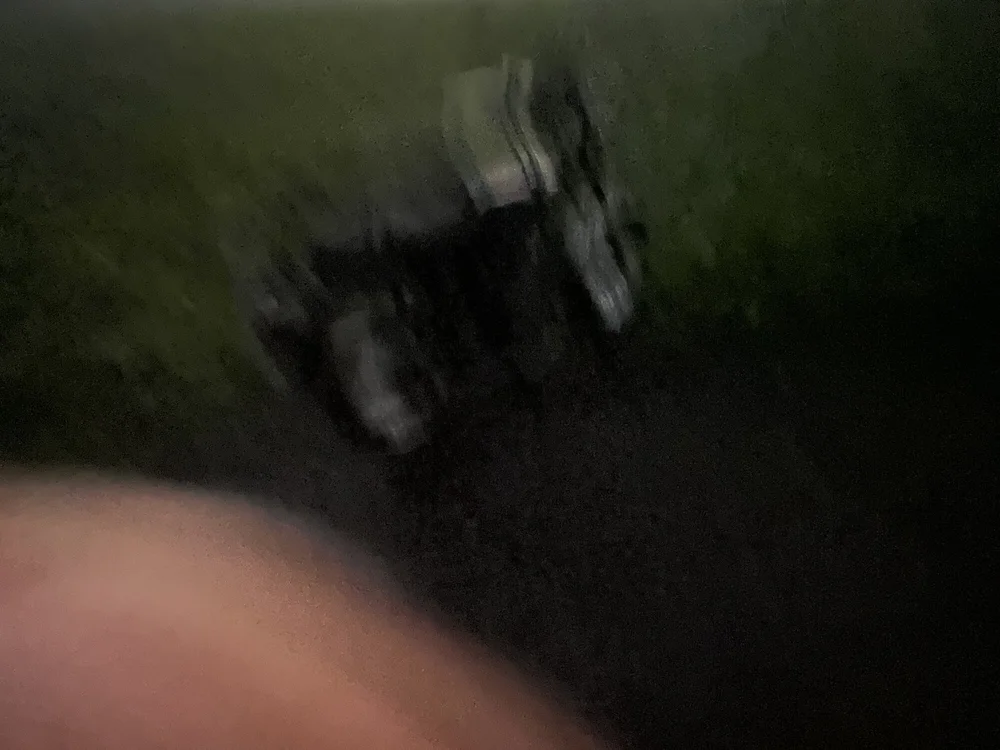 cover photo of Leasyfully0