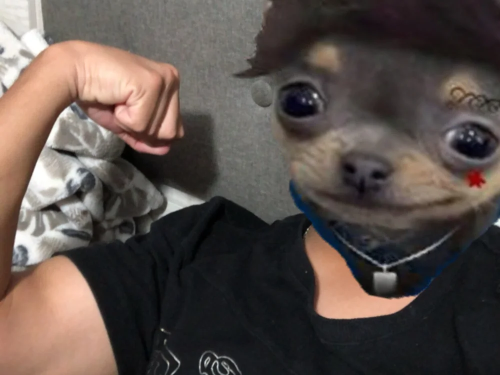 Antony052's Offline Chat Room