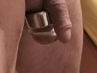 Model leccaleccafiga