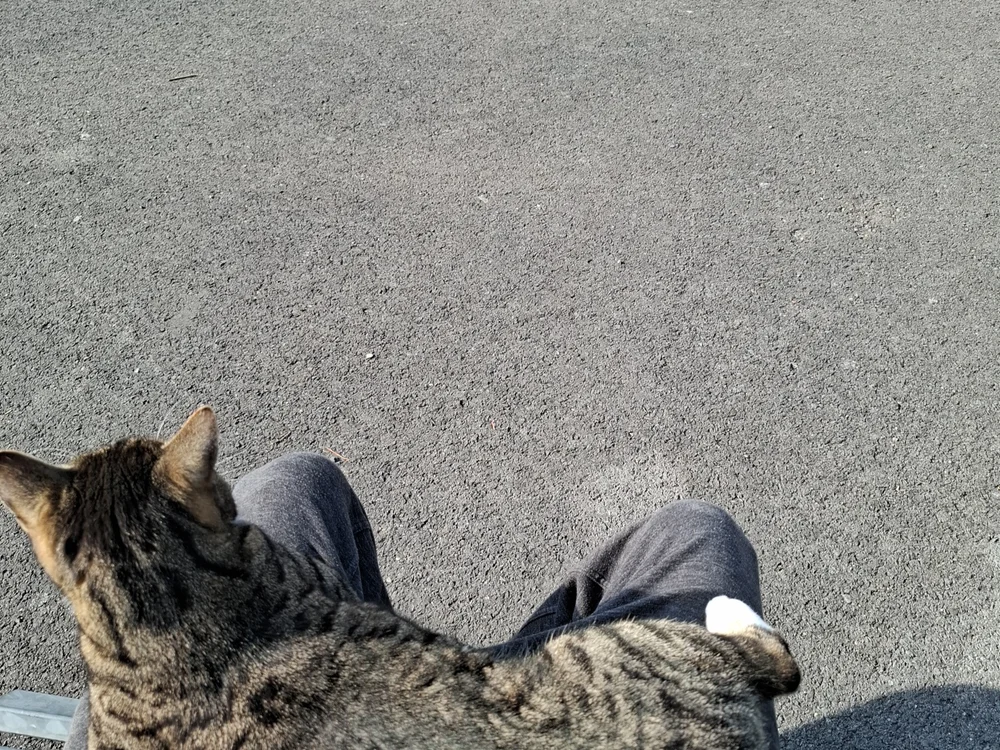 Chat XXX offline de alancrunch