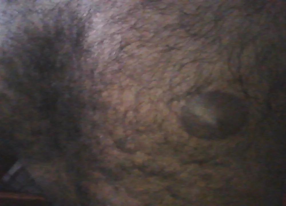 Chatroom XXX hors ligne de f-mea