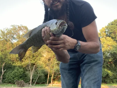 Bobmarleybd15420 - Boy 