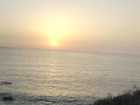 dza_10