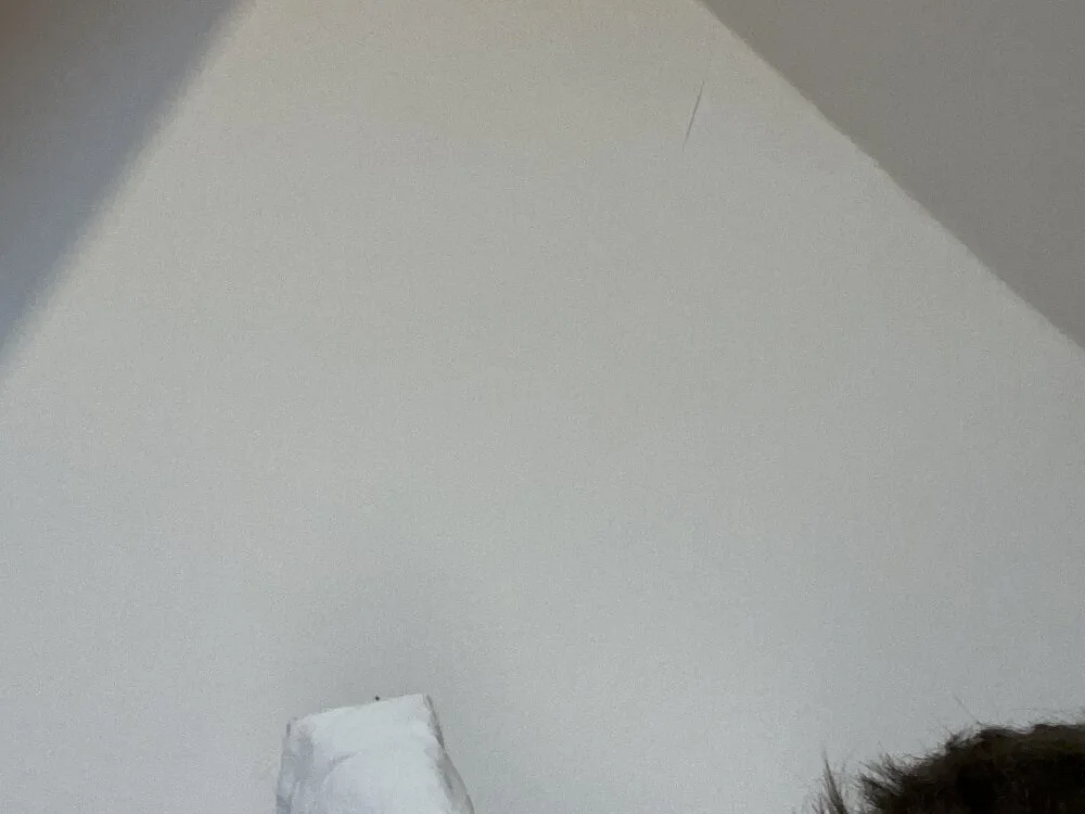 دردشة Turboboy12345 الجنسية دون اتصال