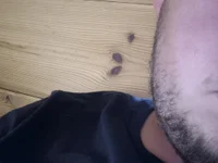 HotBoyamWixxen1's webcam live show