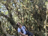 Модель sweetkaley