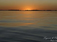 Churrillo's webcam live show