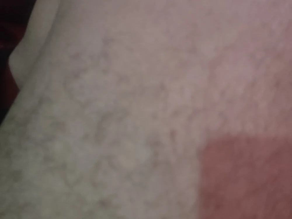 wajdi-wa7ch Adlı Modelin Çevrimdışı XXX Sohbeti