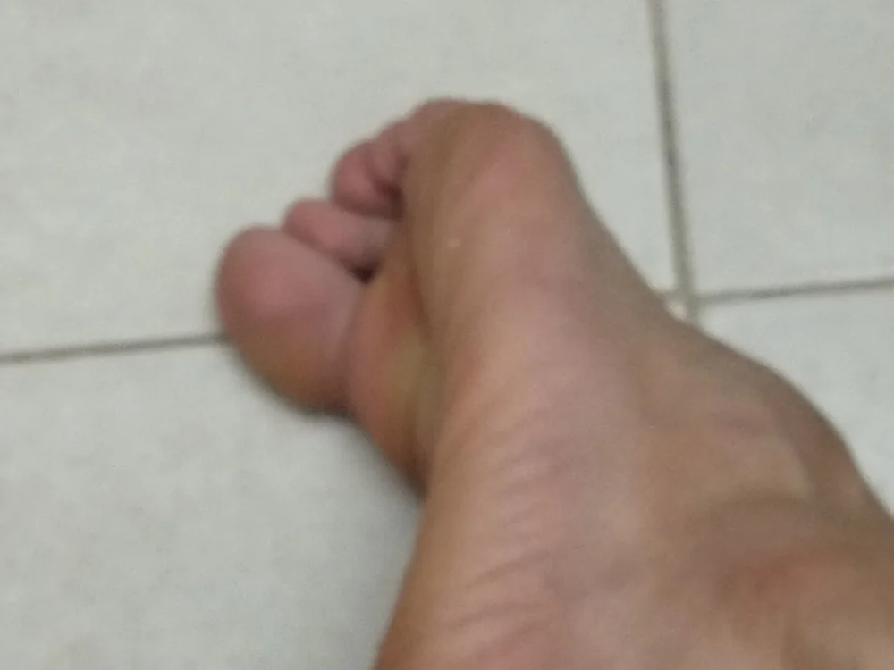 AdoredExchange 離線 XXX 聊天