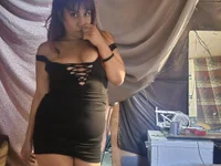 Модель ChelsyS18