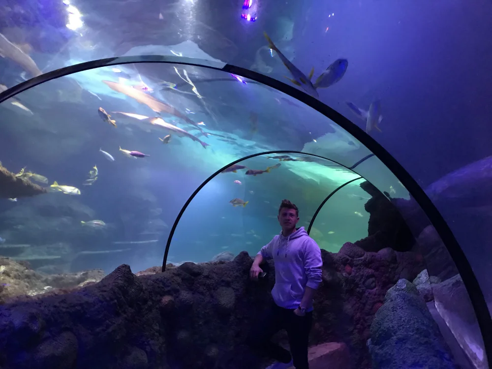 sperm00099's most recent online preview