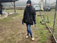 Модель Maialona78