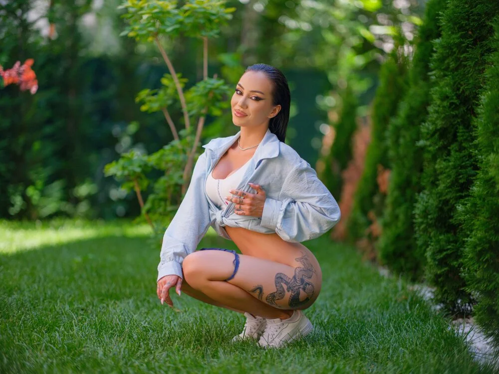 ZenyaNoir 离线XXX聊天