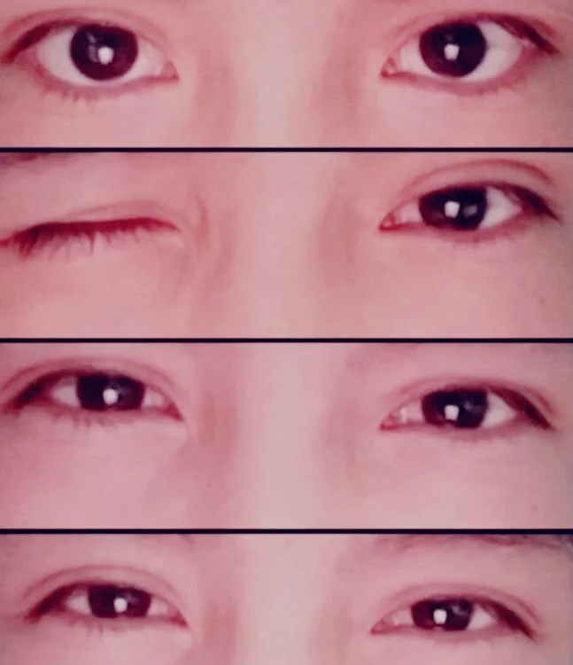 anxf Offline XXX Chat