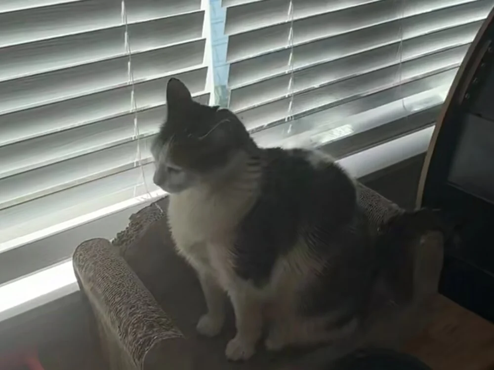 Chatroom XXX hors ligne de Xxxxhot123