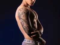 Модель Thomas_moon