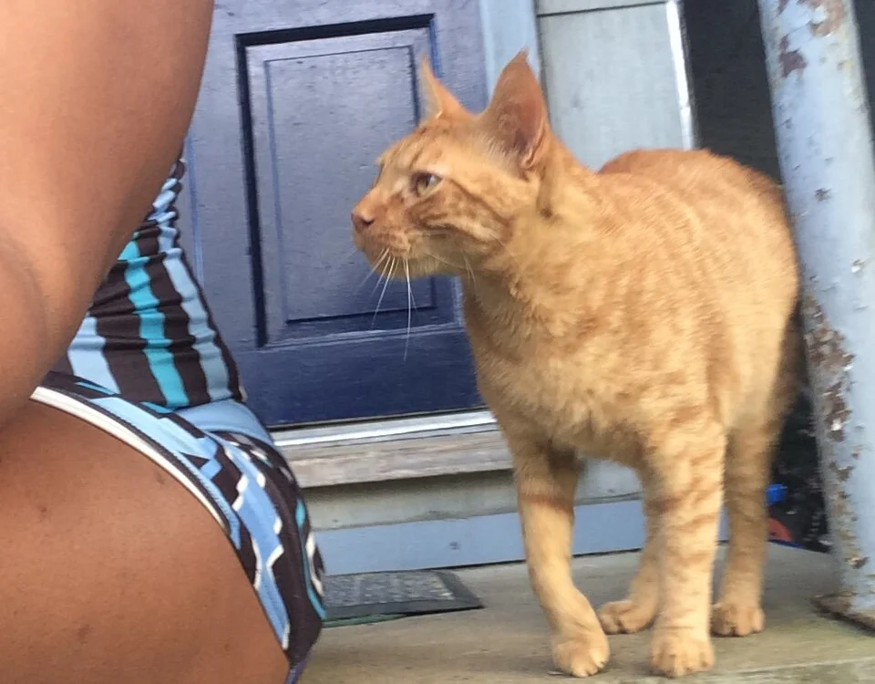 Ohxgawdxnon Offline XXX chat