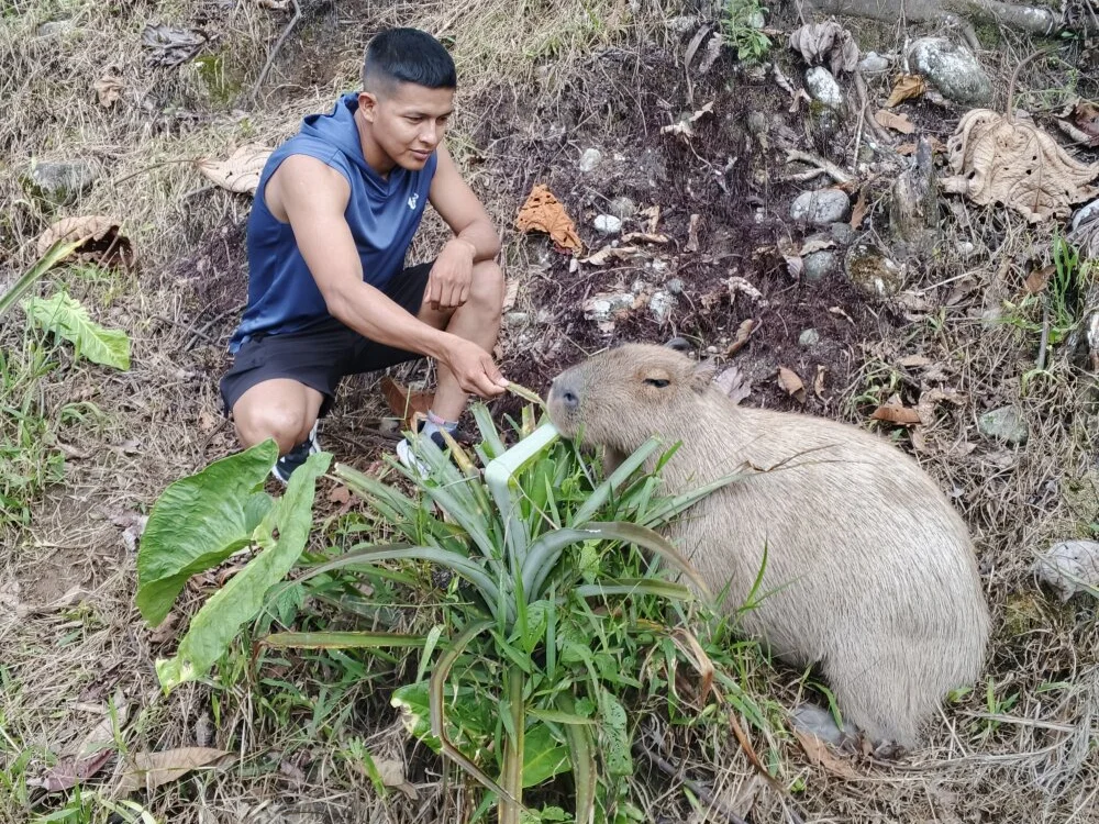 Offline XXX chat modela Raiden_94