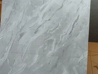 Itisforsocial's webcam live show