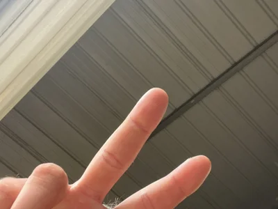 raineyj98