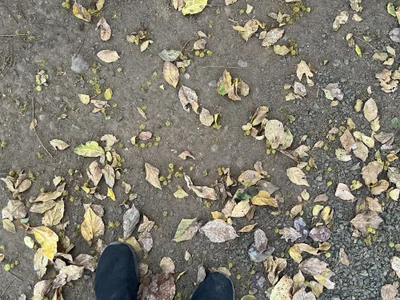 Nagpurdaddy27 profile