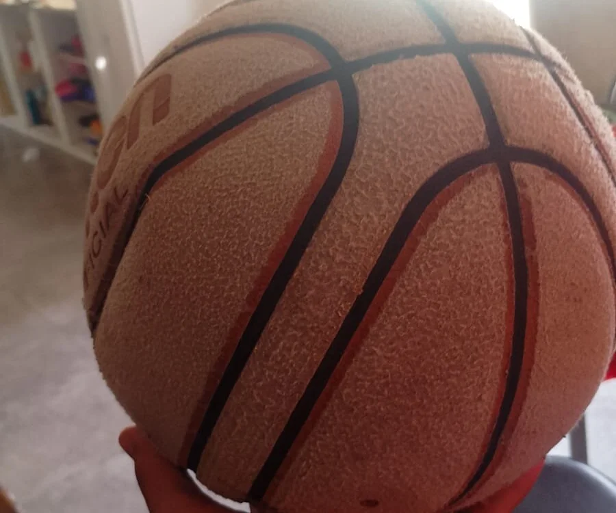 lacometa12 cam model