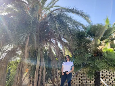 alexysgray webcam livesex profile in average cams