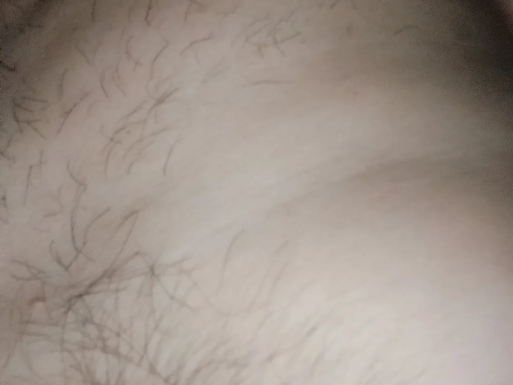 PestlingPhrasing offline XXX-chat