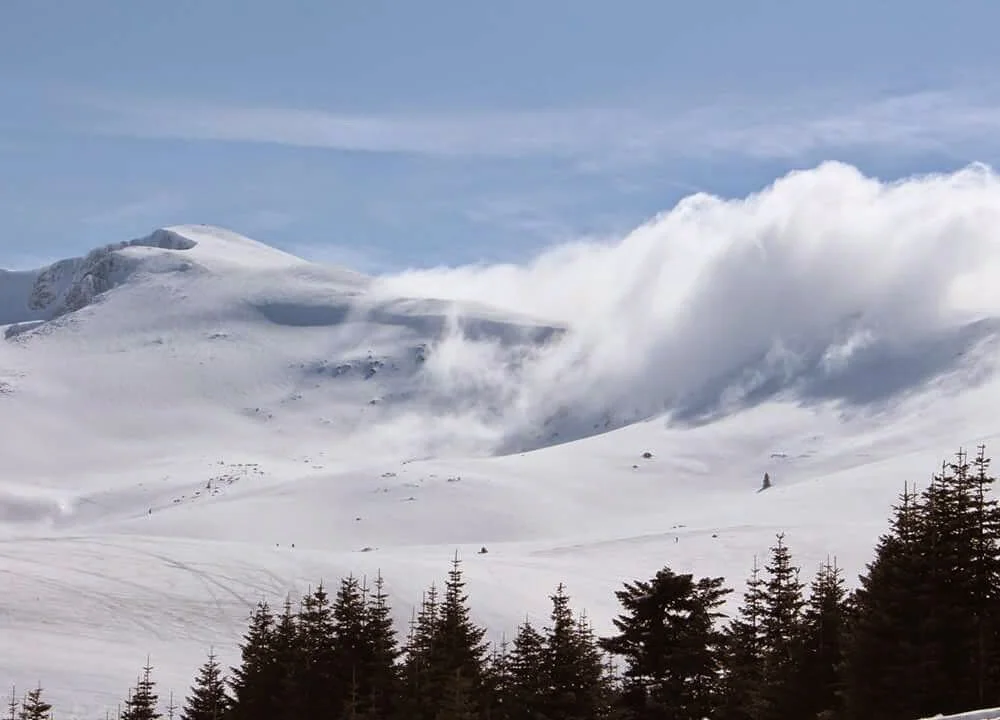 cover photo of Emrekoo