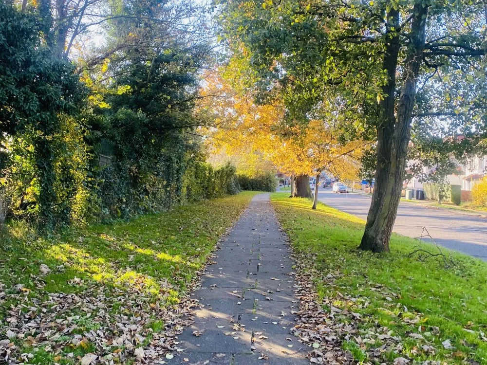 igeorgedavid Obrolan XXX Offline