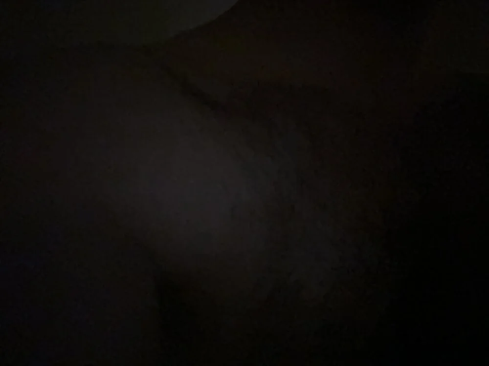 HiddenPrivSignal's Offline XXX Chat