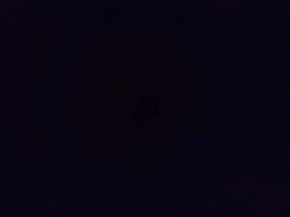 cover photo of deliaslittleboy