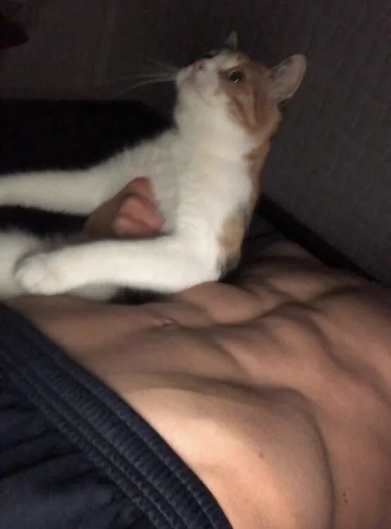 thomas_sexee Adlı Modelin Çevrimdışı XXX Sohbeti