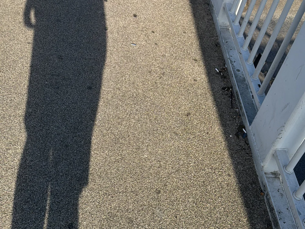 cockloll 的封面照片