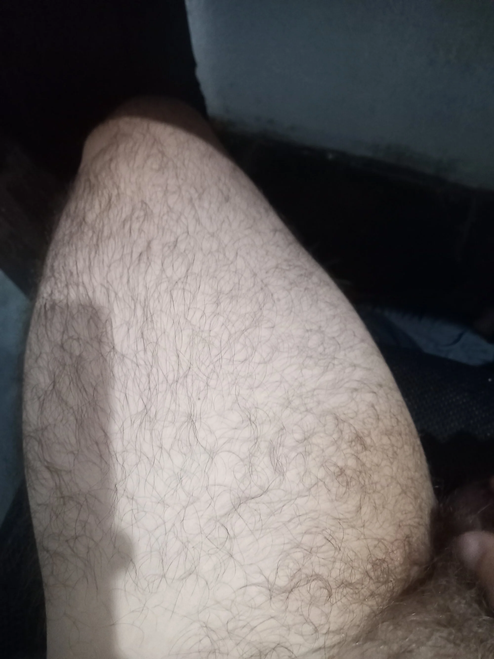 bigfatcockbr1