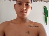 Stivenhot webcam model