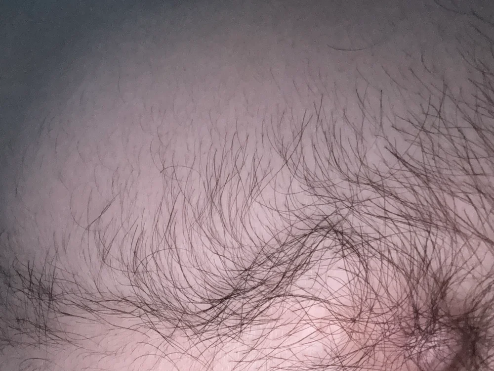 SouthernGaylife অফলাইন XXX চ্যাট