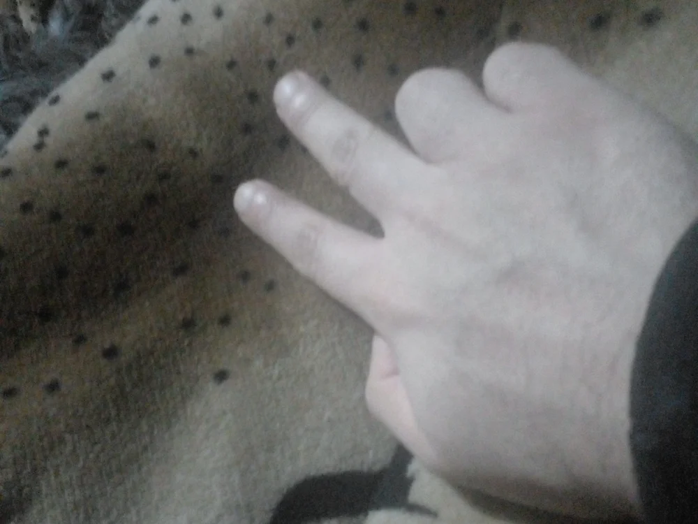 צ'אט XXX לא מקוון של Gonzaxilo