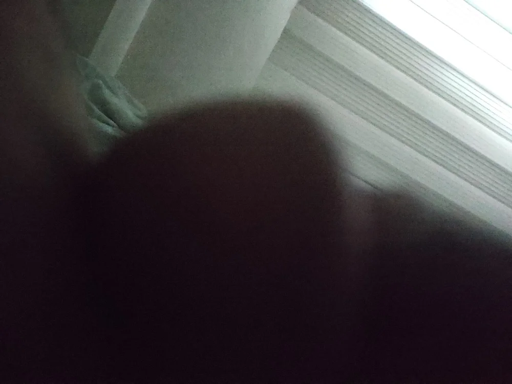 fermaniert98's Offline XXX Chat