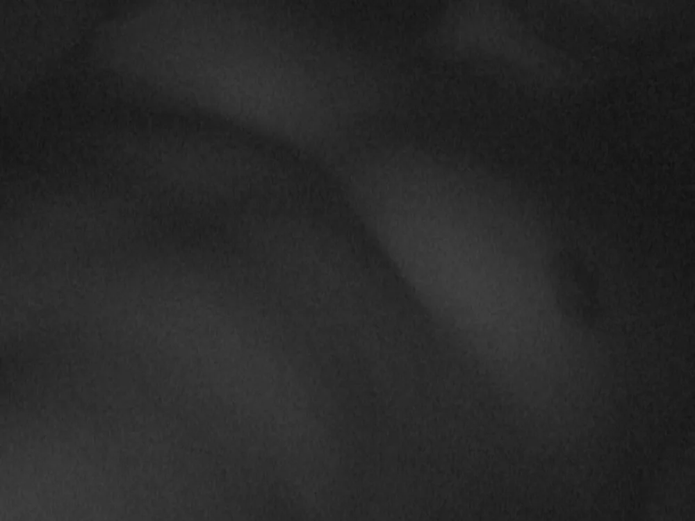 Linc33 Offline XXX Chat