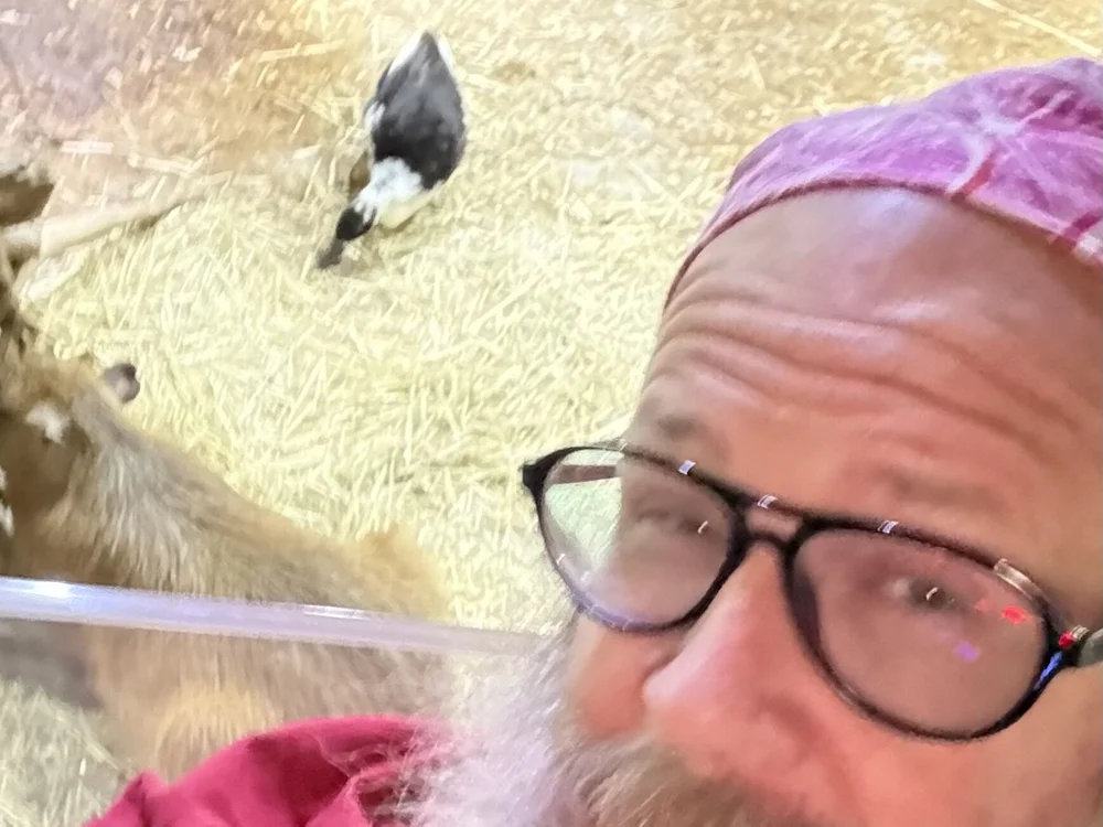 therealdude47 অফলাইন XXX চ্যাট