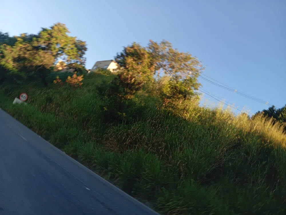 novinhopauzudo25's most recent online preview