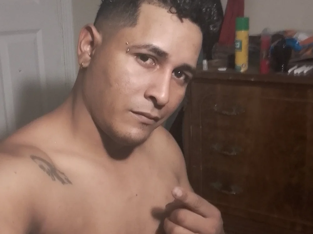 feliplacer offline chatrum