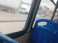 Delg_ado14