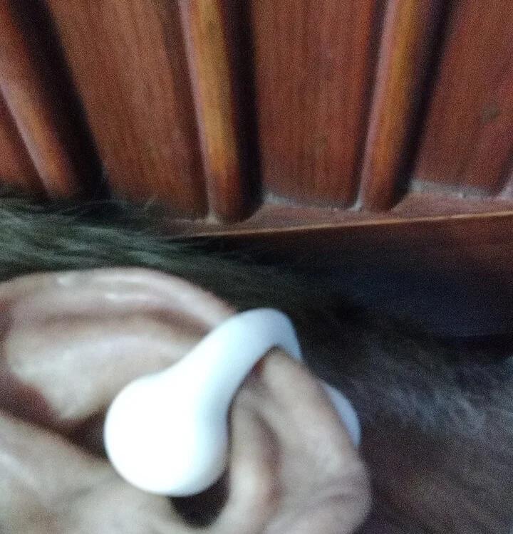 Shakeellove1 Chat XXX Ngoại tuyến