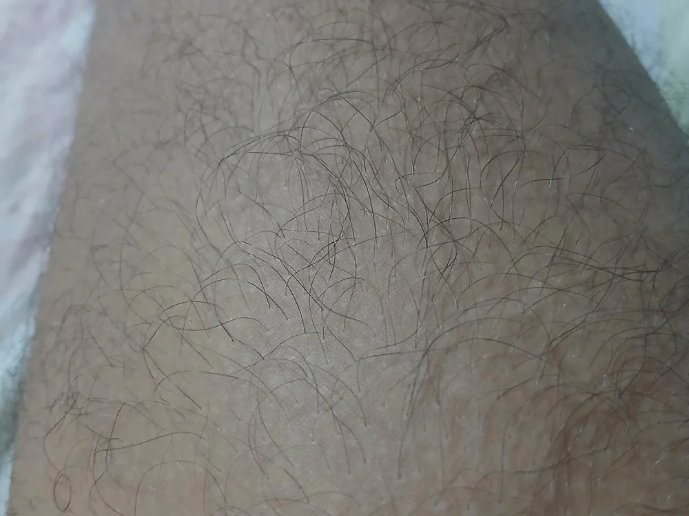 Fernando23206's most recent online preview