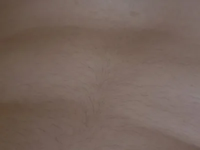gartadam