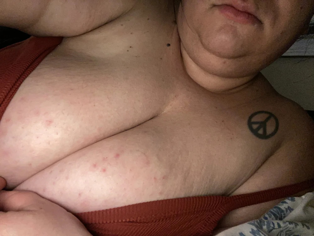 Aniebbw's Offline Chat Room