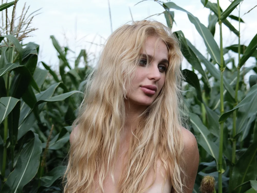 Golden__Daisy: δωμάτιο συνομιλίας εκτός σύνδεσης
