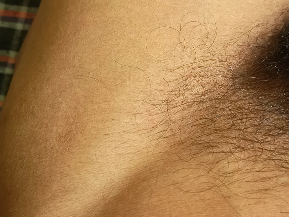 Chatroom XXX hors ligne de Royroy___